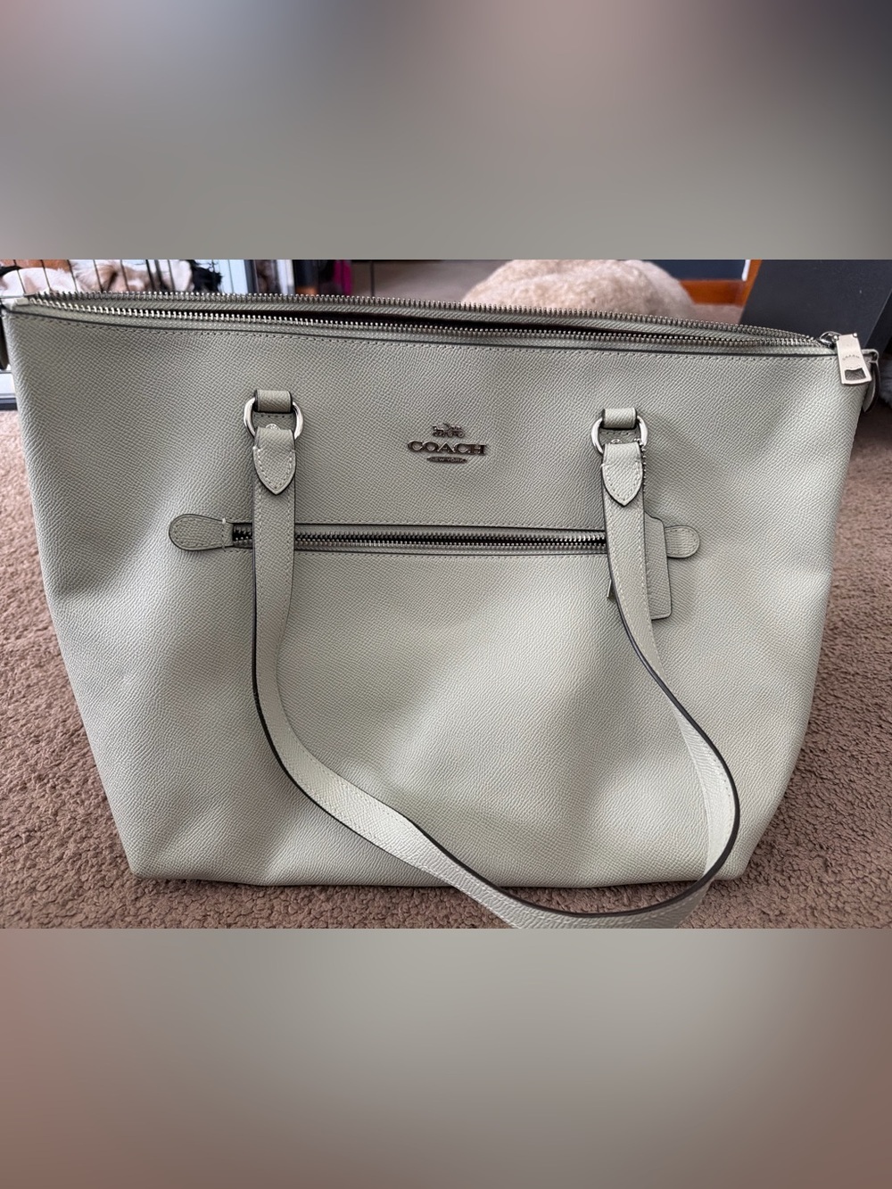 COACH Crossgrain Leather Gallery Tote Bag – Soft Sage / Mint Green
